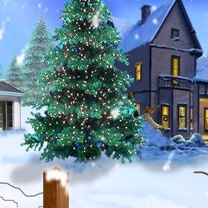 Meet your Posher, Mary ann r